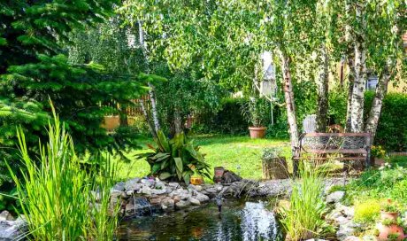 Création d'un espace zen avec cascade habillée de plantes - Saint-Paul - Arrosage Réunion