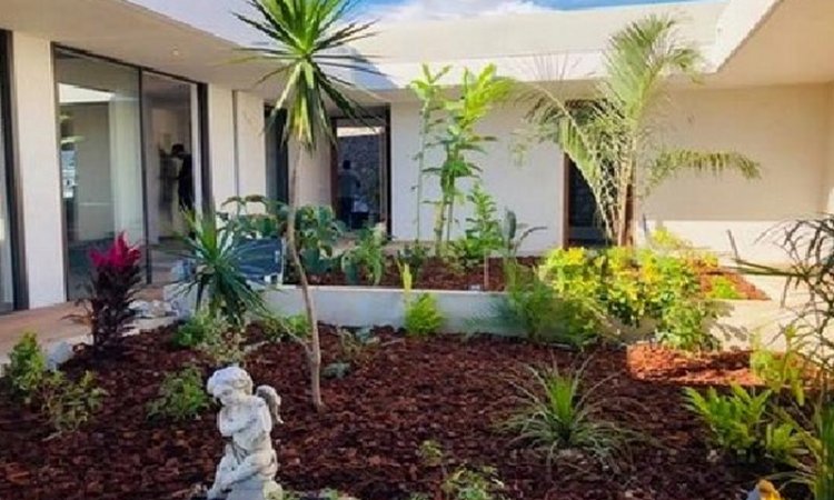 Création et aménagement de jardin - Saint-Paul - Arrosage Réunion 